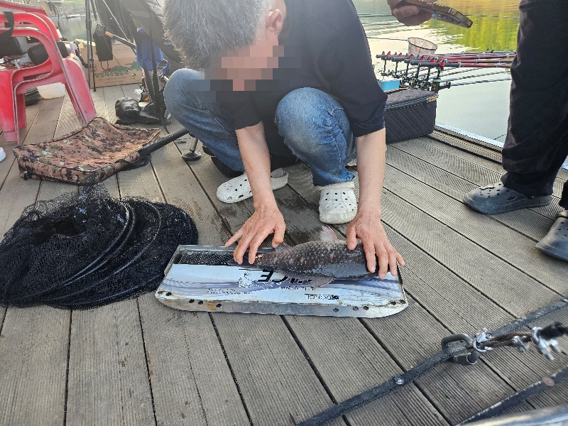 충주호 늘푸른낚시터 조황