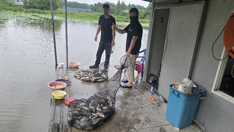 아산죽산지 5/27일 화요일 대박 조황 입니다