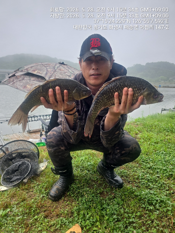 어천낚시터 토종붕어 4짜소식 (678번째)조황 정보