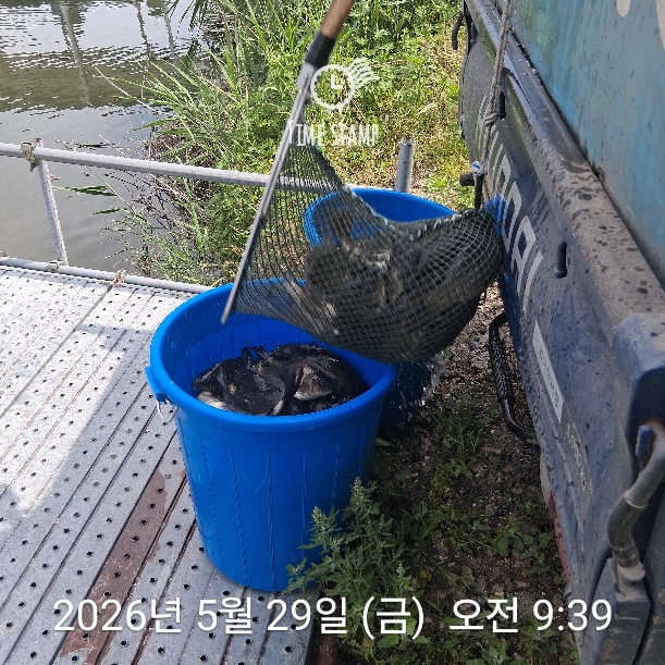 금요방류!