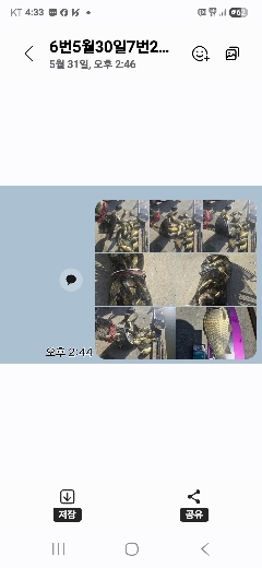반제낚시터 주말조황정보