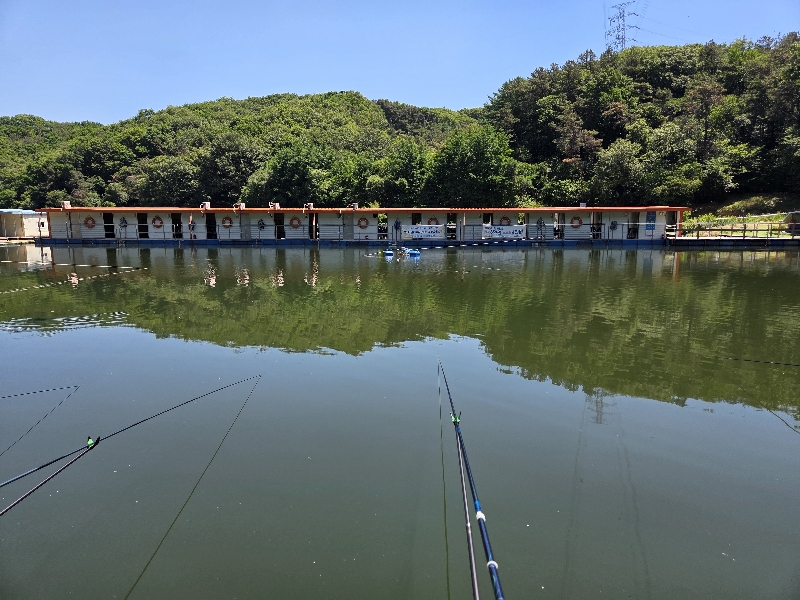 지곡낚시터(2026.05.31)