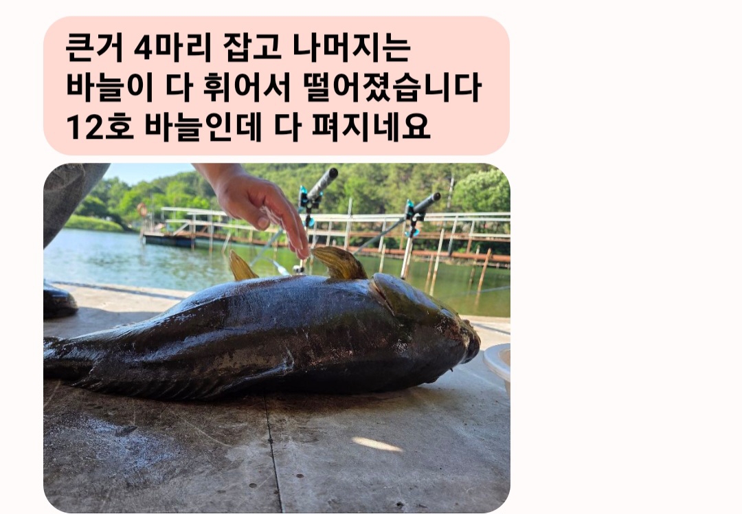 대가 부러지는 일이 흔한데 바늘이 펴졌으니 다행입니다