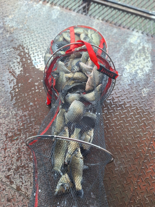통삼낚시터 입니다