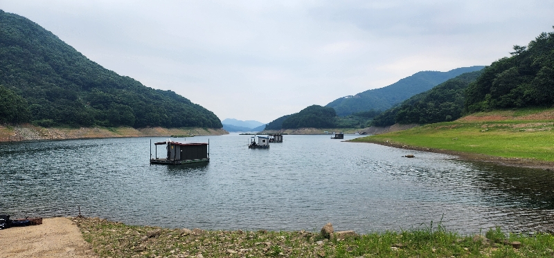 올해 첫 충주호