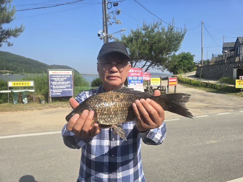 항포낚시터