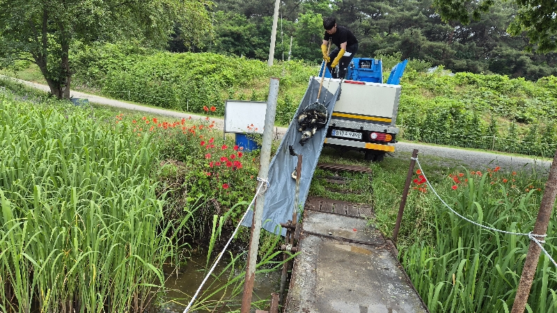 아산죽산지 6/6일 방류와 금요일 조황