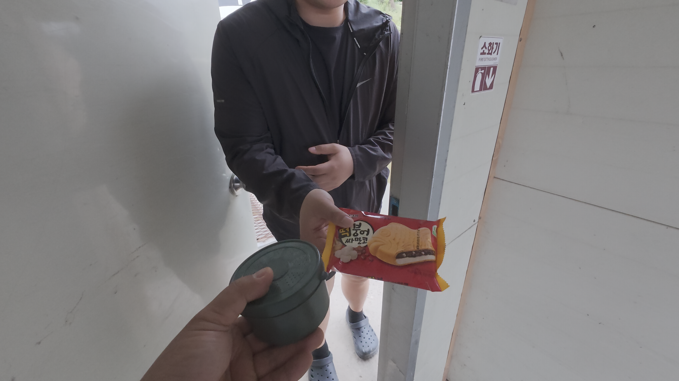 토종붕어