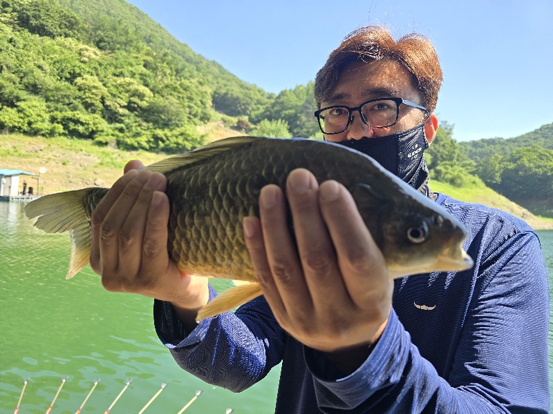 충주호목벌 대물조황정보