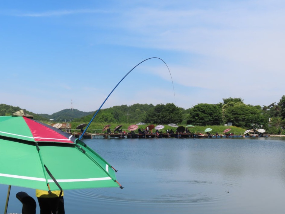 밀당魚