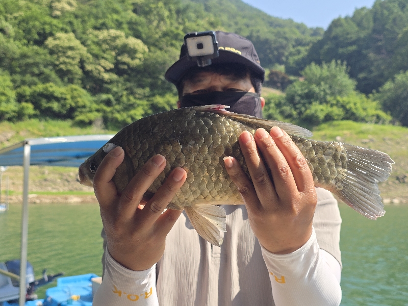 충주호 목벌낚시터