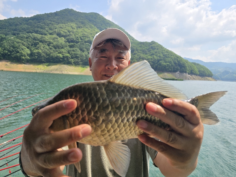 충주호 목벌 낚시터