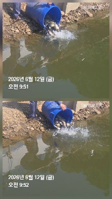한터낚시터 6월7일10일 2호지 가두리 방류 6월12일 1.2.3호지 직방류! 4호지6월13일 메기잡이터 개장