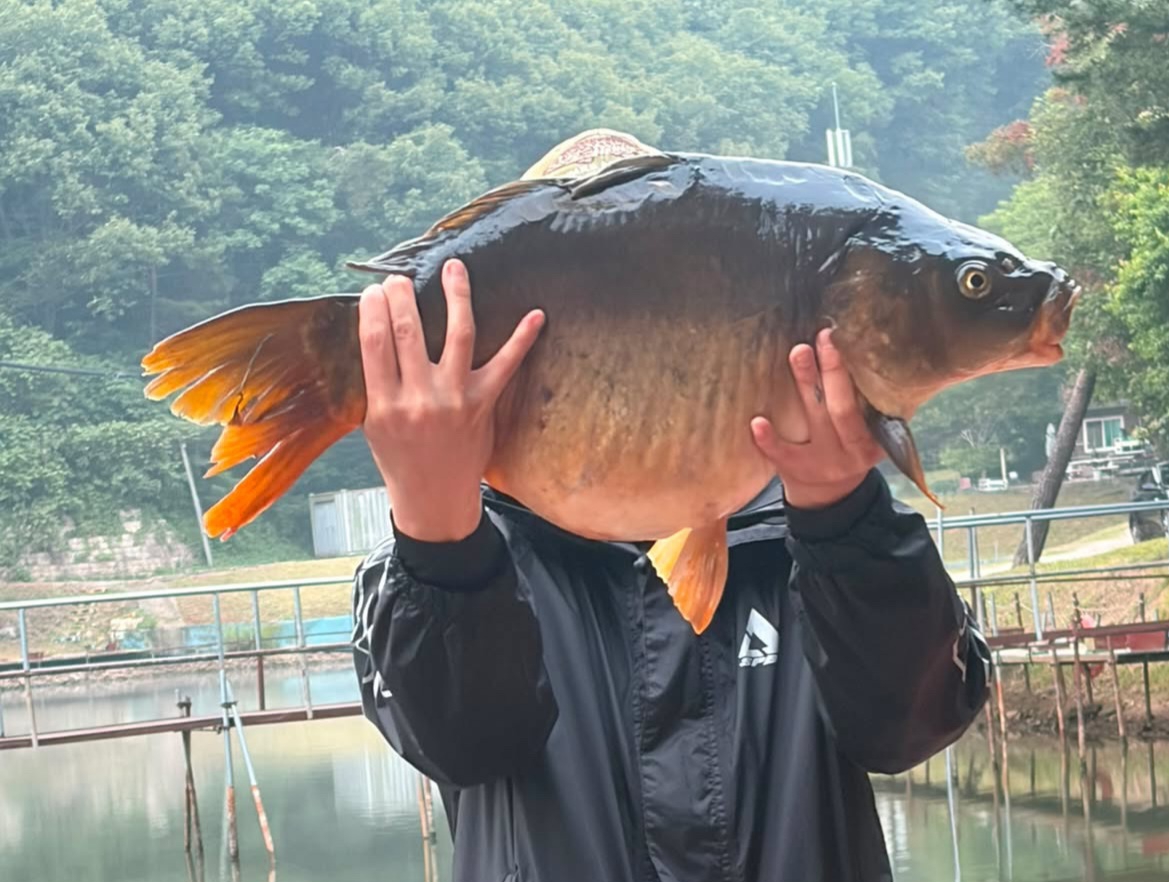 20분 밀당 향어~
