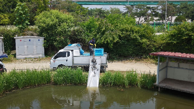 6.12 방류