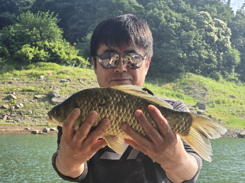 충주호 목벌 대물조황