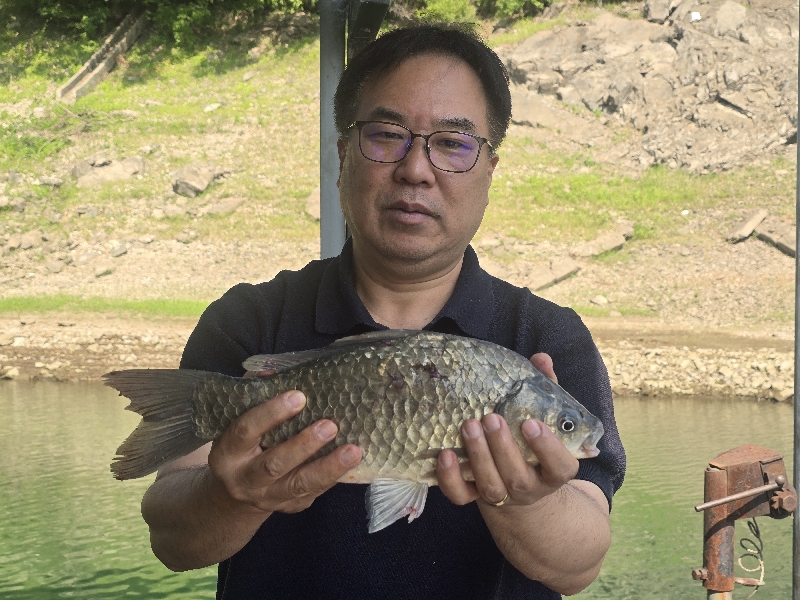 충주호 목벌2