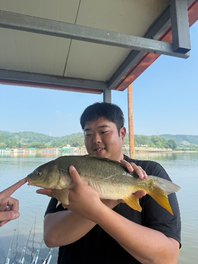 봉재낚시터 6월 12일 영상조황