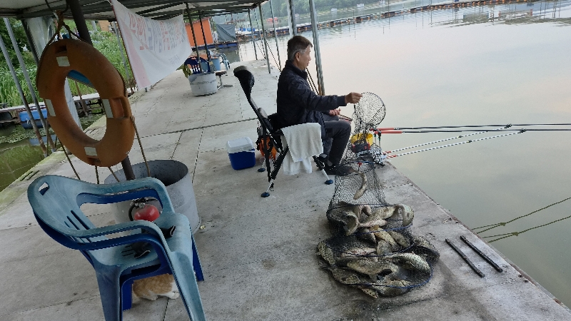 아산죽산지 6/16일 월요일 밤조황 입니다