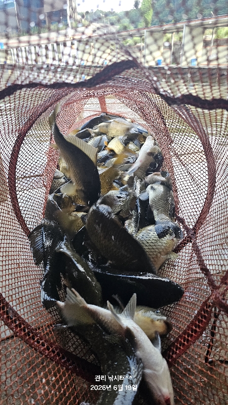 관리낚시터