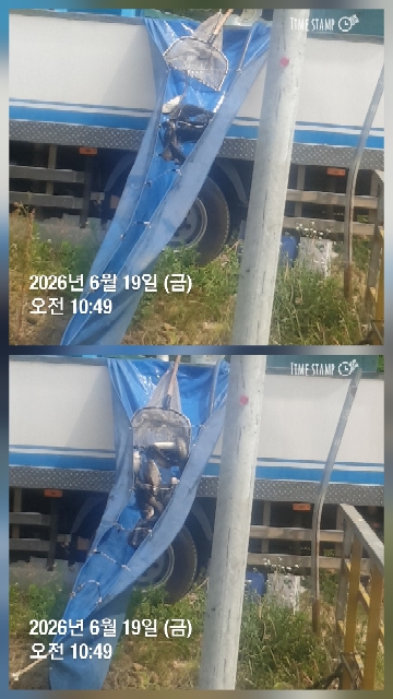 한터낚시터6월14일17일2호지 가두리방류 6월19일 1호지2호지3호지 직방류!!