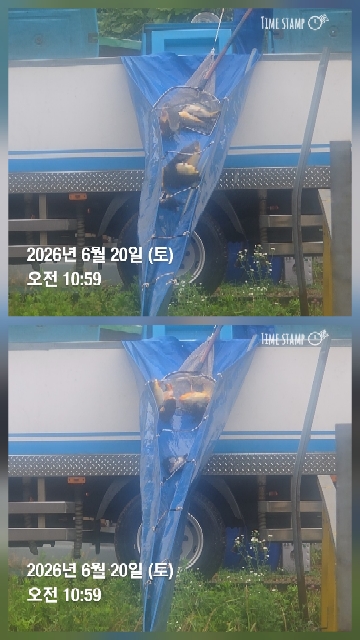 한터낚시터 6월20일1호지2호지3호지 직방류 21일2호지 가두리 방류
