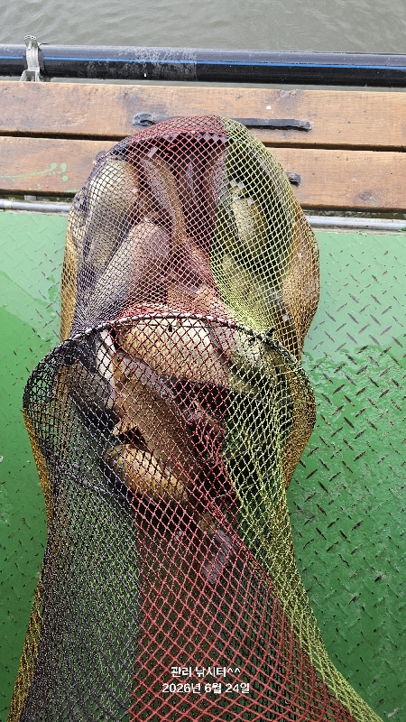 관리낚시터