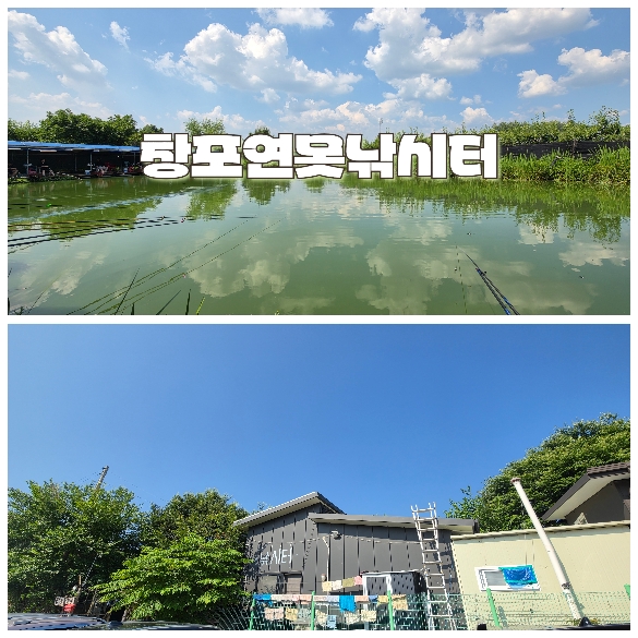 창포연못낚시터 짬낚 다녀왔습니다