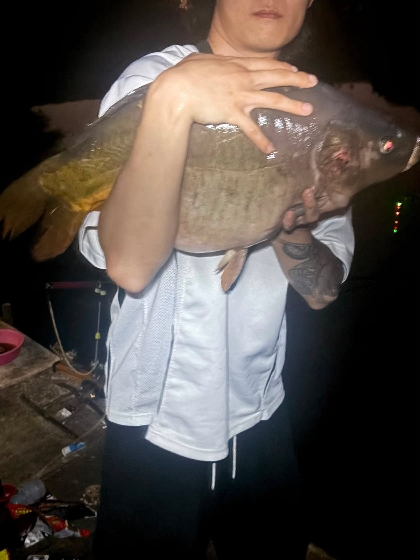 애기야 가자~~(예약은0316556507)