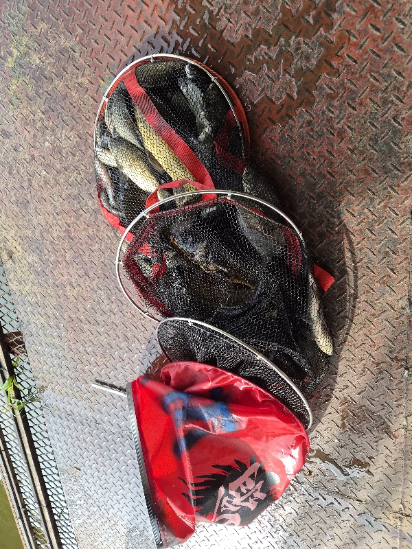 통삼낚시터 입니다