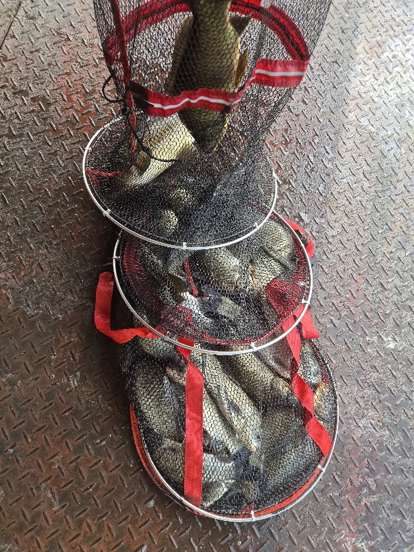 통삼낚시터 입니다