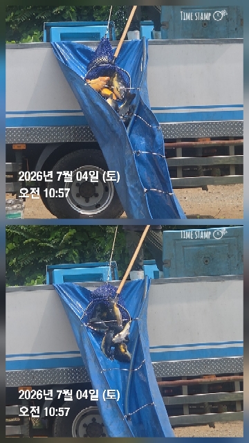 한터낚시터 7월4일 직방류 7월5일2호지 가두리방류예정