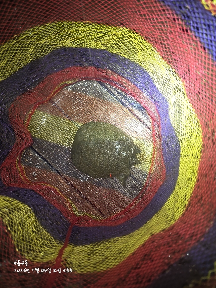 기타