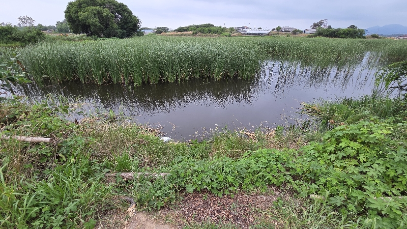 지워져서 다시 올립니다(죄송합니다)