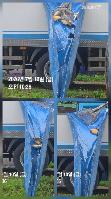 한터낚시터 7월8일 2호지 가두리방류 7월10일 직방류
