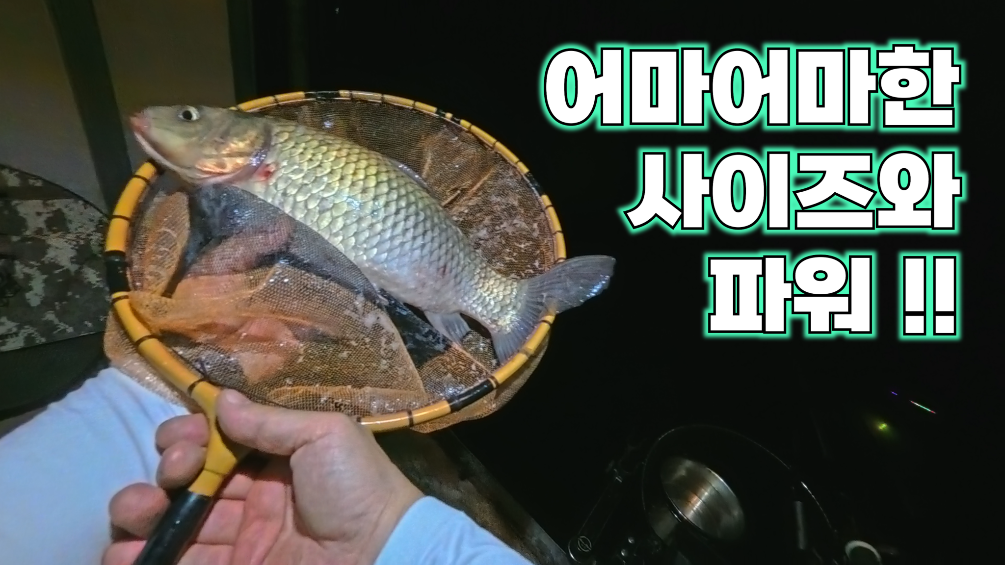 향(잉)붕어