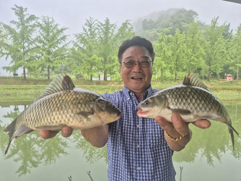 7월11일조황
