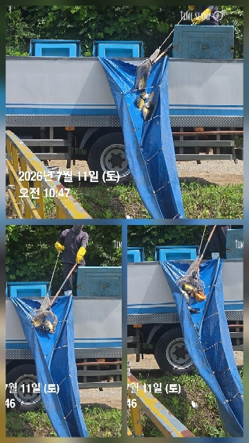 한터낚시터 7월11일 직방류 7월12일2호지 가두리 방류 예정
