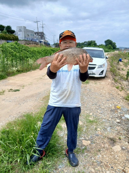 7.13 조황사진
