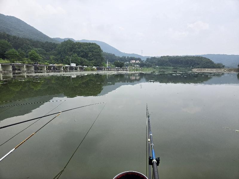 [용인]고초골낚시터(2026.07.17)