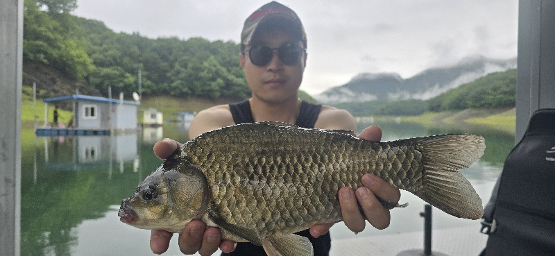 충주호신매낚시터