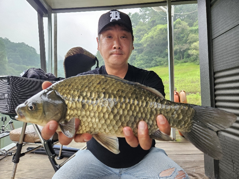 충주호 늘푸른낚시터 40외 조황소식