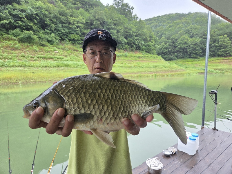 청풍실리곡낚시터 41cm외 조황입니다.