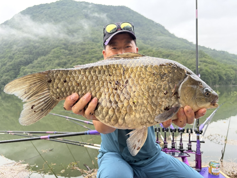 Fish catch