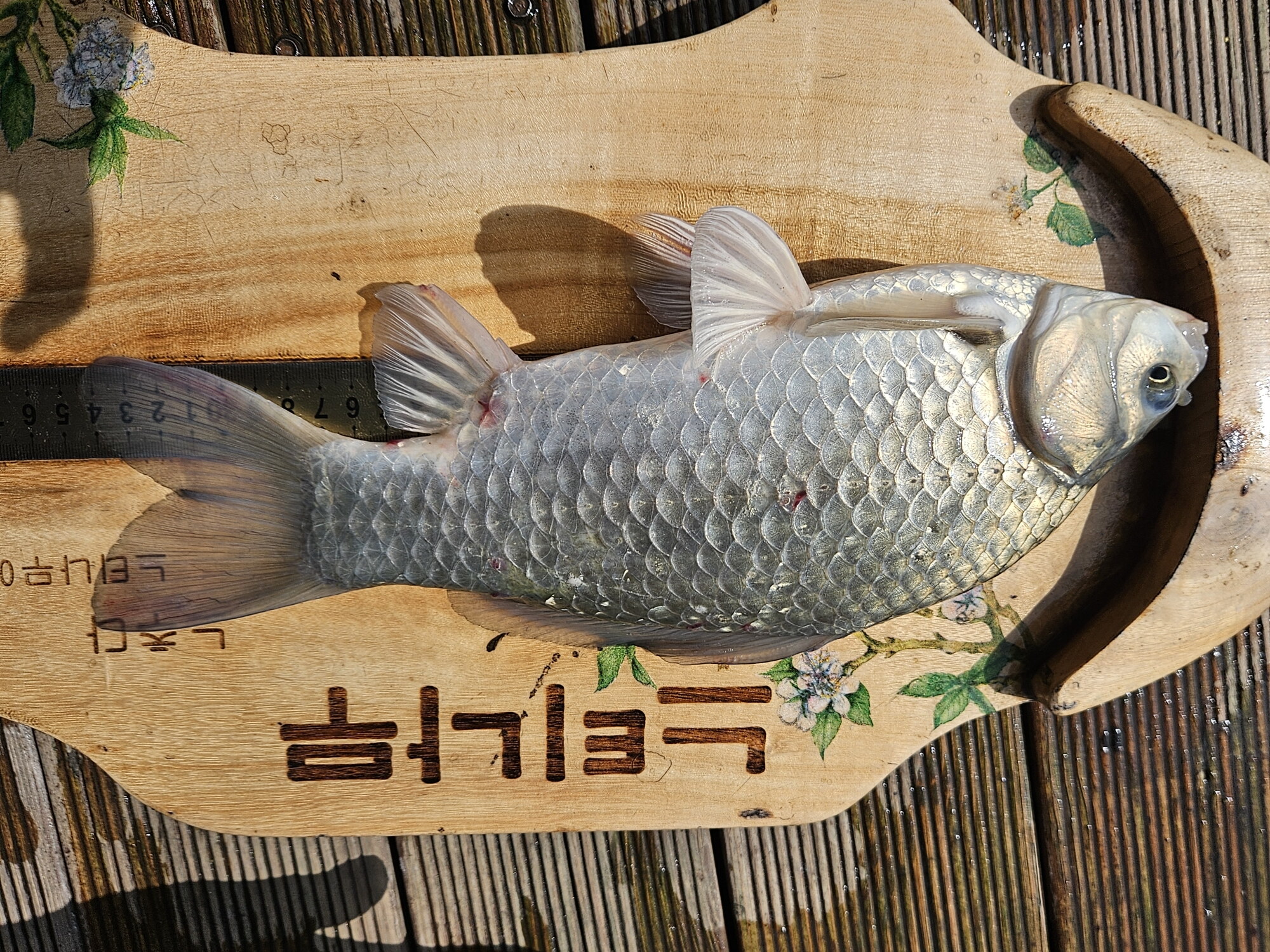 최대어