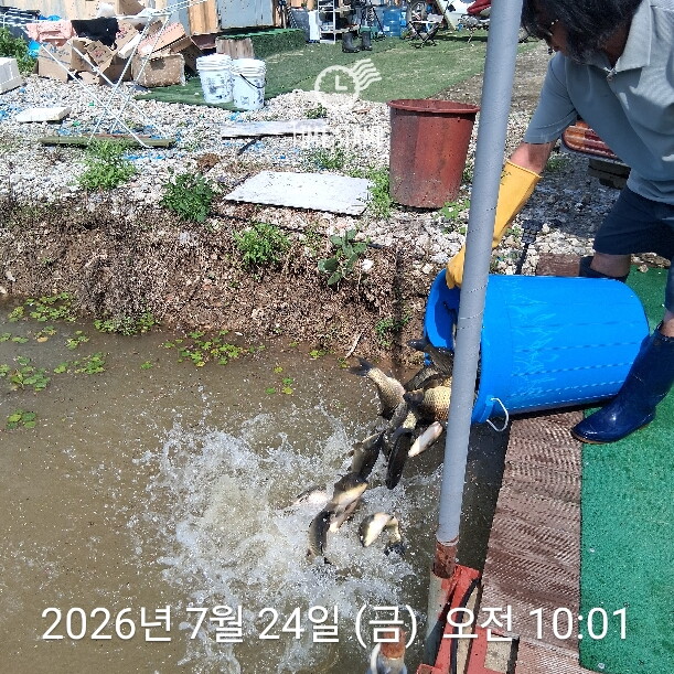 금요방류