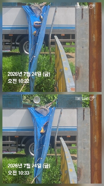 한터낚시터 7월22일2호지 가두리방류 7월24일직방류