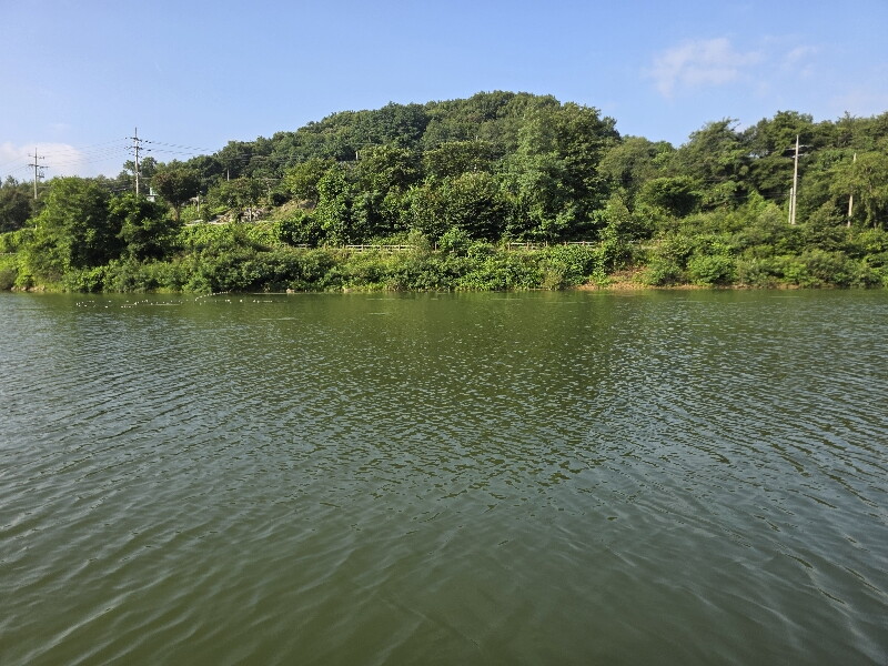 붕어낚시(덕산지)