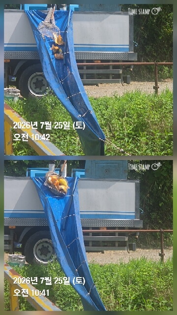 한터낚시터 7월25일직방류7월26일2호지가두리방류