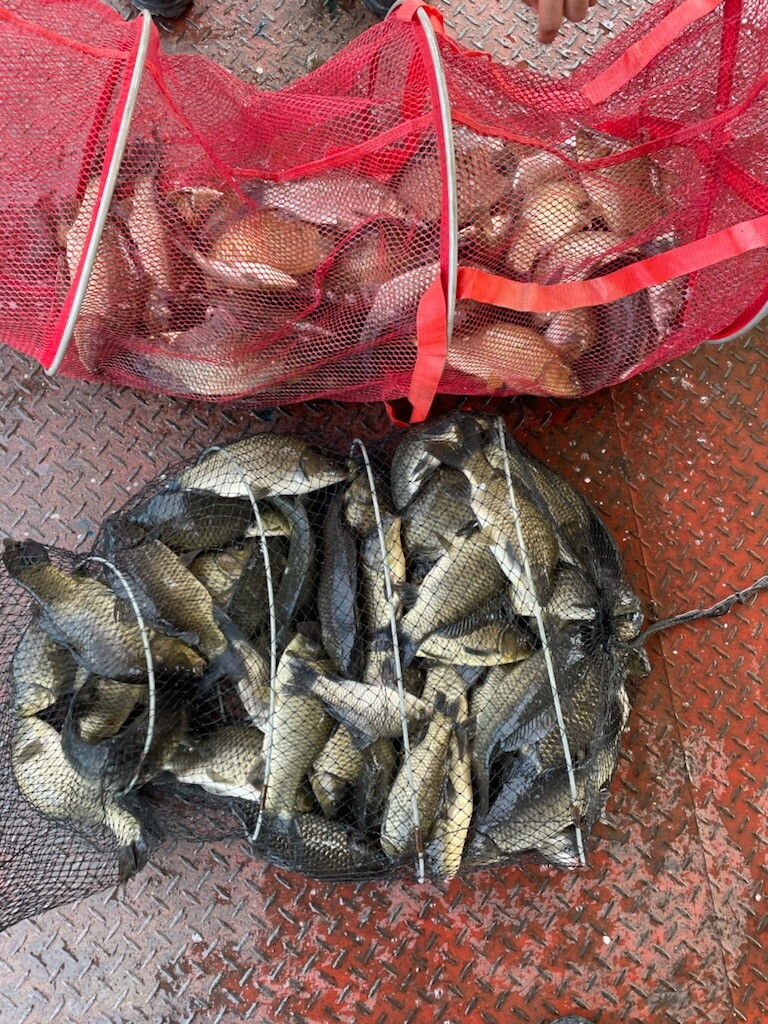 통삼낚시터 입니다